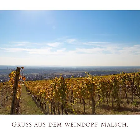 Zur Rose Мини-отель Malsch (bei Wiesloch)