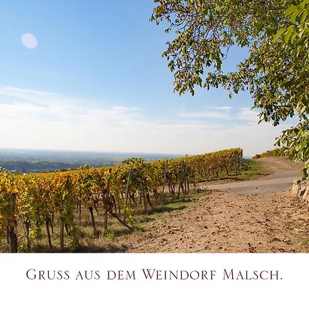 Мини-отель Zur Rose Malsch (bei Wiesloch)