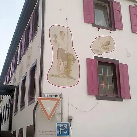 宾馆 Zur Rose Malsch (bei Wiesloch)