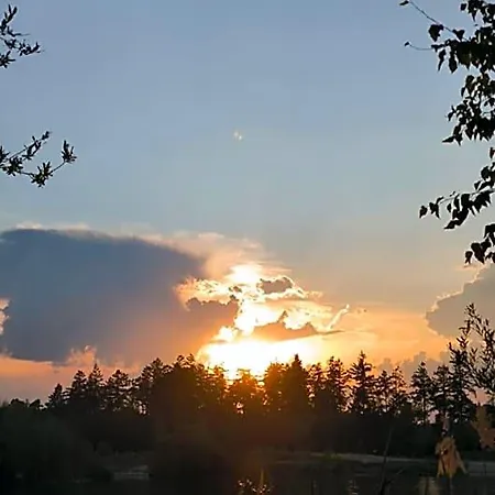 Zur Rose * Malsch (bei Wiesloch)